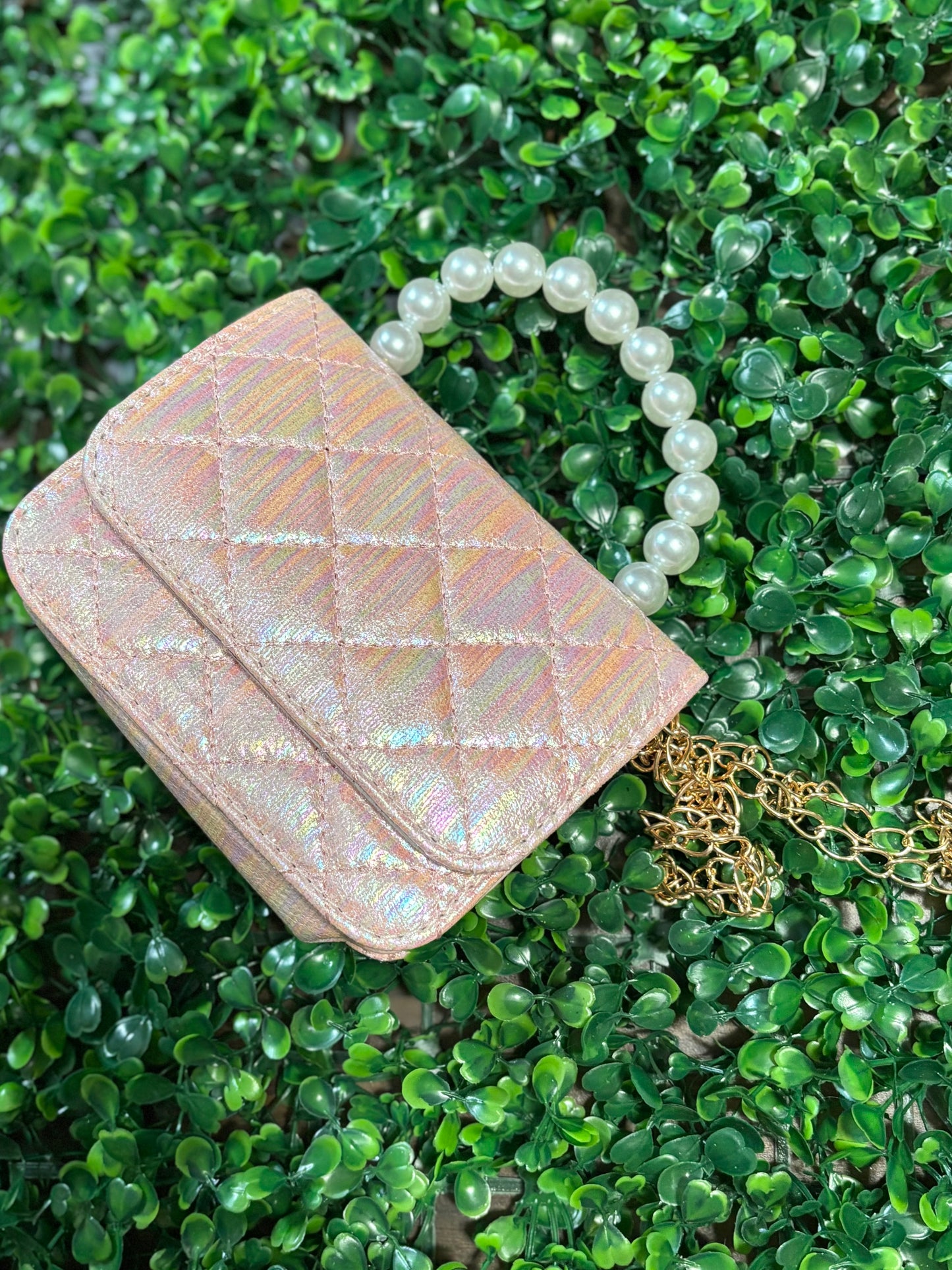 Purse- blank purse
