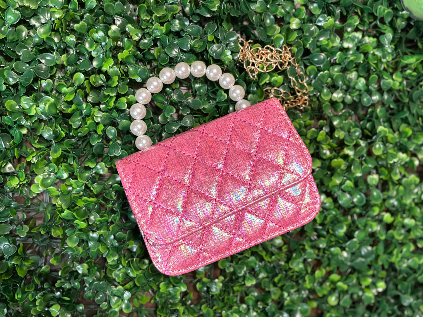 Purse- blank purse
