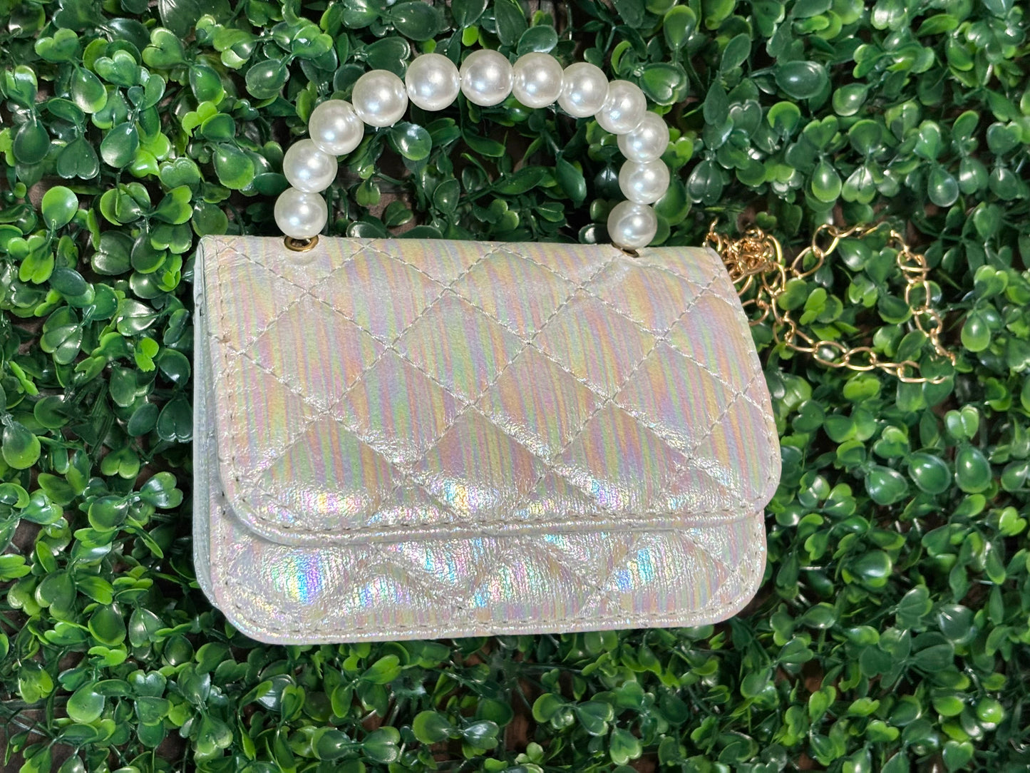 Purse- blank purse