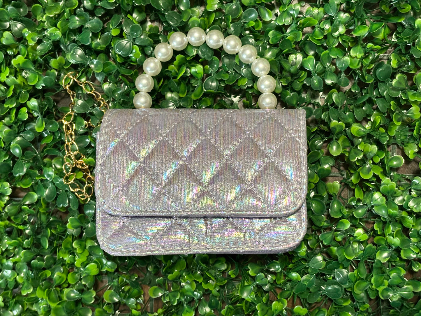 Purse- blank purse
