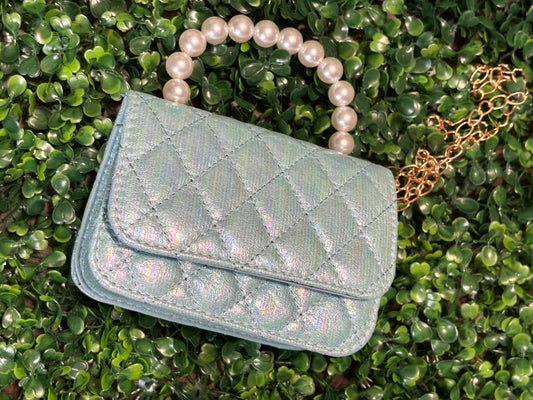 Purse- blank purse